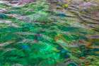 USA, Washington State, Olympic National Park. Abstract patterns in river water. Abstract Art Print